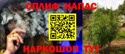 индика Абакан