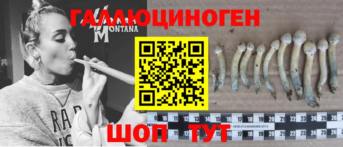 Псилоцибиновые грибы мицелий Калач-на-Дону